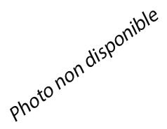 Photo non disponible
